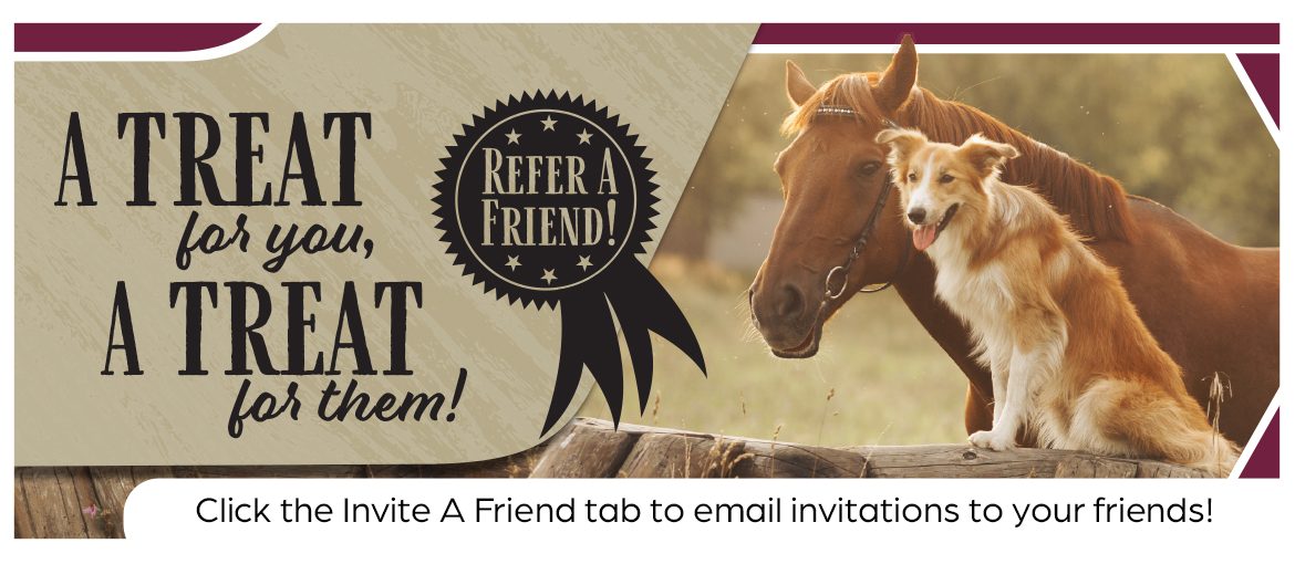 Thank you for using your debit card! Redeeming your points is easy! Create an account today, browse the site and start redeeming your points for great gifts. Thank you for using your debit card! Redeeming your points is easy! Create an account today, browse the site and start redeeming your points for great gifts.